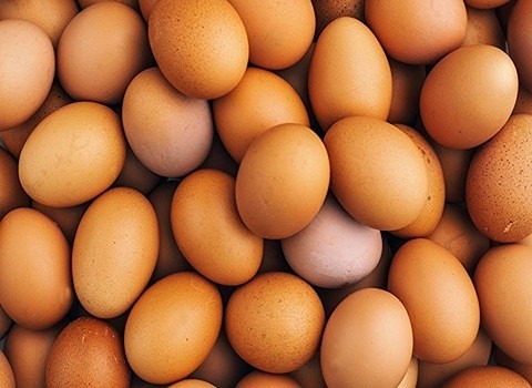 تصویر 4 از قیمت خرید تخم مرغ ارگانیک محلی + فروش ویژه